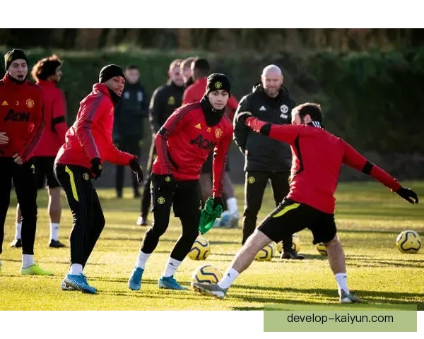 布莱顿俱乐部冬窗引援动态与主帅战术调整最新进展球迷关注焦点解析 布莱顿俱乐部冬窗引援动态与主帅战术调整最新进展球迷关注焦点解析